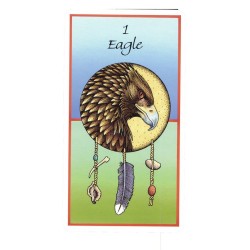 Tarot Medicine Cards (Set) (52 Cartas) (En) (Usg)