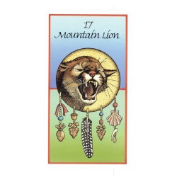 Tarot Medicine Cards (Set) (52 Cartas) (En) (Usg)