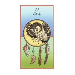 Tarot Medicine Cards (Set) (52 Cartas) (En) (Usg)