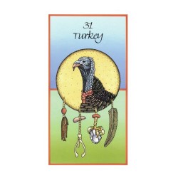 Tarot Medicine Cards (Set) (52 Cartas) (En) (Usg)