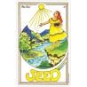 Tarot Medicine Woman (78 Cartas) (EN) (USG)