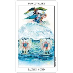 Tarot of the Spirit - Pamela & Joyce Eakins - 2014 - (Incluye carta transparente arbol de la vida) (EN) (USG)