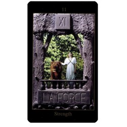 TAROT Vision (Ingles)