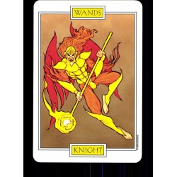 Tarot coleccion Winged Spirit (EN) (USG)