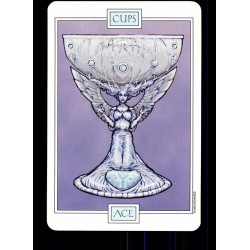 Tarot coleccion Winged Spirit (EN) (USG)