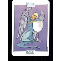 Tarot coleccion Winged Spirit (EN) (USG)