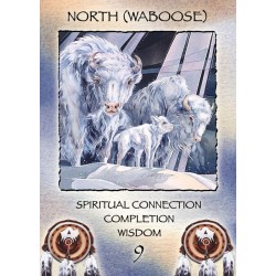 TAROT Spirit of the Wheel