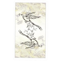 TAROT Paulina (Ingles) (U