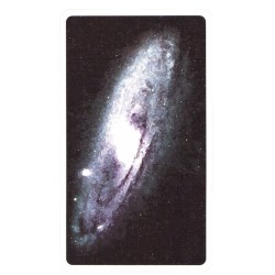 TAROT Animal (Power) (78