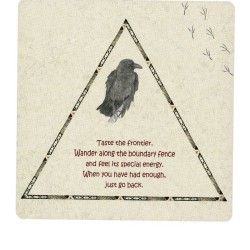 Tarot Coleccion Raven Cards (Oracle) (49 Cartas) (En) (Agm)