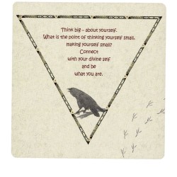 Tarot Coleccion Raven Cards (Oracle) (49 Cartas) (En) (Agm)