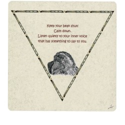 Tarot Coleccion Raven Cards (Oracle) (49 Cartas) (En) (Agm)