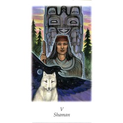 Tarot Vision Quest Tarot - Gayan S. Winter and Jo Dose (7ª Edicion) (EN) (AGM) (2013)