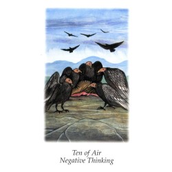 Tarot Vision Quest Tarot - Gayan S. Winter and Jo Dose (7ª Edicion) (EN) (AGM) (2013)