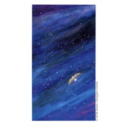 Tarot Vision Quest Tarot - Gayan S. Winter and Jo Dose (7ª Edicion) (EN) (AGM) (2013)