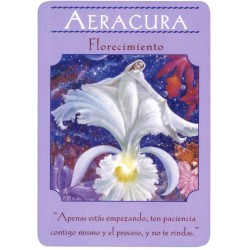 TAROT Diosas (Cartas del
