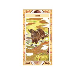 TAROT Native American (Se