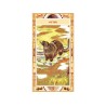 TAROT Native American (Se