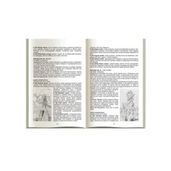 TAROT Native American (Se