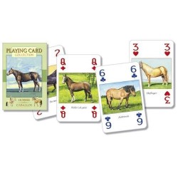 CARTAS Caballos (54 Cards