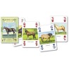 CARTAS Caballos (54 Cards