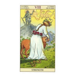 TAROT Nueva Vision (Stand