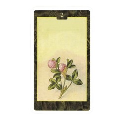 T Lenormand (Oraculo