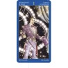 TAROT Gay (Standard) (Sca