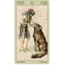 TAROT Nativos Americanos