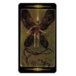 TAROT Bosque Secreto (Sta
