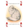 CARTAS Gatos (54 Cartas J