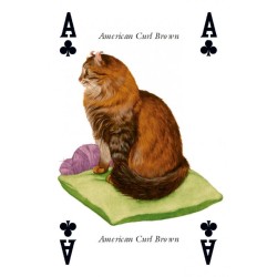 CARTAS Gatos (54 Cartas J