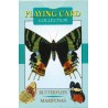 CARTAS Mariposas (54 Cart