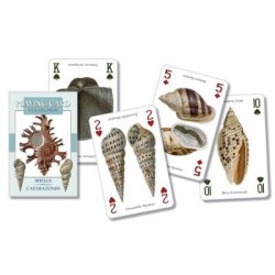 CARTAS Caparazones (54 Ca