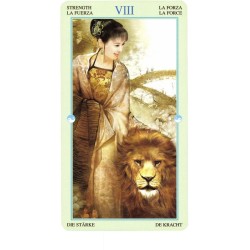 TAROT Chino (Standard) (S