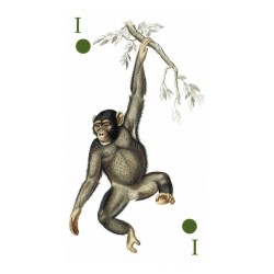 TAROT Reencarnacion (Stan