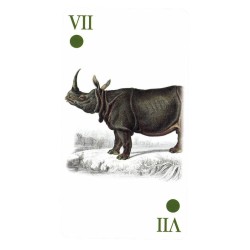 TAROT Reencarnacion (Stan