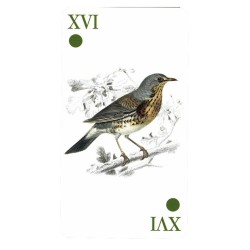 TAROT Reencarnacion (Stan