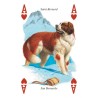 CARTAS Perros (54 Cartas