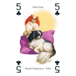 CARTAS Perros (54 Cartas