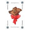 CARTAS Perros (54 Cartas