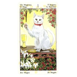 TAROT Gatos Paganos (Stan