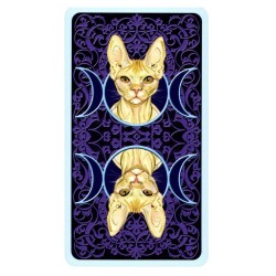 TAROT Gatos Paganos (Stan