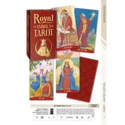 Cat Lo Scarabeo 2024-SP