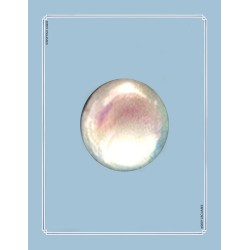 Tarot Ancestral Path Ed.