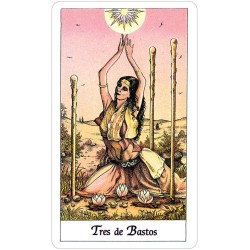 Tarot Cosmico - Norbert L