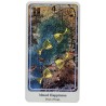 Tarot Haindl (EN) (USG)