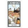 Tarot Native American (EN) (USG)