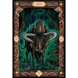 Tarot Runes (Power of the...) (25 Cartas) (EN) (USG)