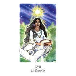 Tarot Vision Quest Tarot - Gayan S. Winter and Jo Dose (ES) (AGM)